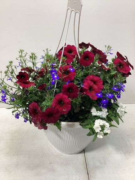 10” Variety flowers in hanging basket