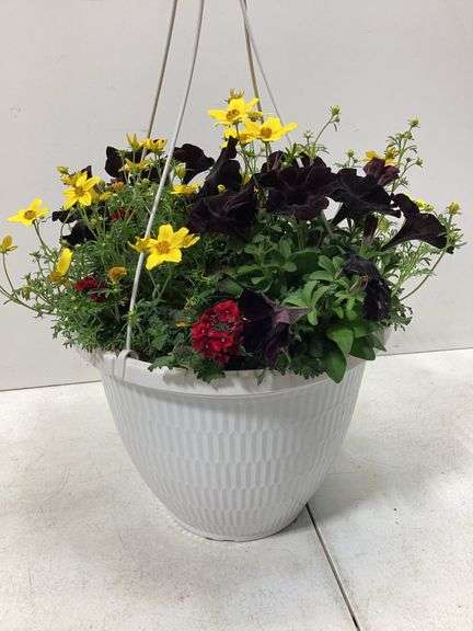 10” Variety flowers in hanging basket