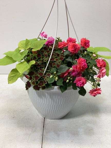 10” Variety flowers in hanging basket