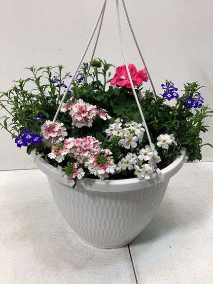 10” Variety flowers in hanging basket
