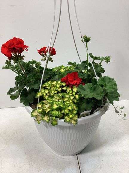 10” Variety flowers in hanging basket