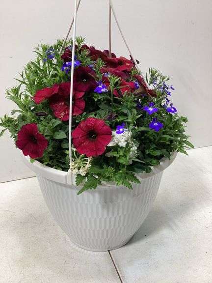 10” Variety flowers in hanging basket