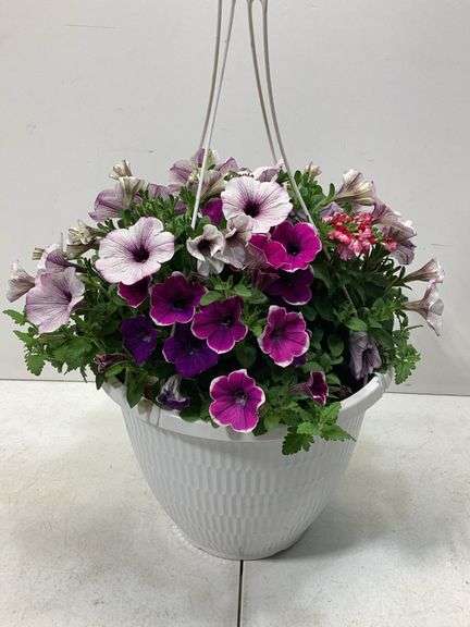 10” Variety flowers in hanging basket