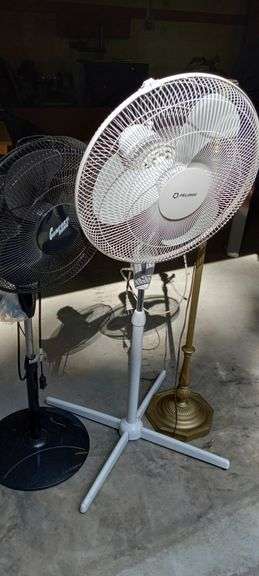 Fans & Lamp Post
