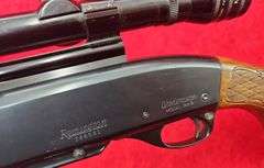 Remington  Model 742   30-06   Rifle