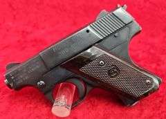 Sterling Arms   Model PPL  380 Auto  Pistol