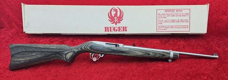 Ruger  10/22  22LR   Carbine