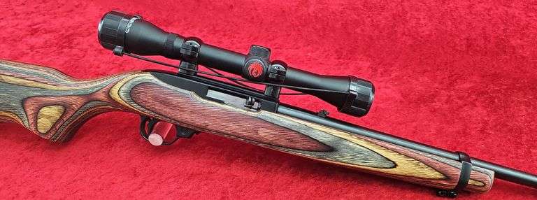 Ruger  10/22  22LR   Carbine w/scope