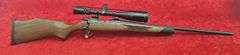 Weatherby  Vanguard  22-250   Rifle w/scope