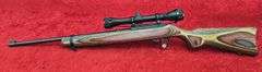 Ruger  10/22  22LR   Carbine w/scope