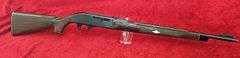 Remington   Nylon 66   22 cal.   Rifle