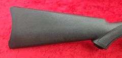 Ruger  10/22  22LR   Rifle