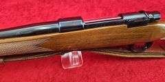 Inter Arms  Mark X  270 cal.   Mannlicher Carbine