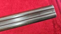 Antique W.W. Greener   10 ga.   Double