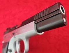 Tanfoglio EAA  Witness Match   10mm  Pistol