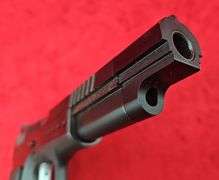 Tanfoglio EAA  Witness Hunter  45 ACP  Pistol