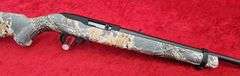 Ruger  10/22  22LR  Rifle