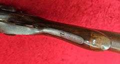 Antique W.W. Greener   10 ga.   Double