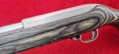 Ruger  10/22  22LR   Carbine