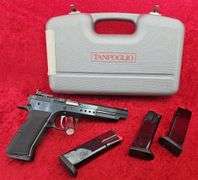 Tanfoglio EAA  Witness Hunter  45 ACP  Pistol