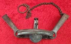 Oneida Newhouse No. 4 Long Spring Trap w/Chain