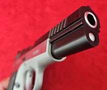 Tanfoglio EAA  Witness Match   40 cal.   Pistol