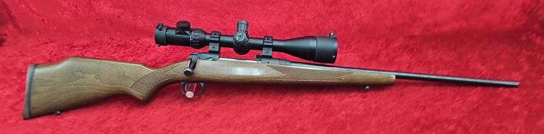 Savage  Model 110   270 cal.   Rifle