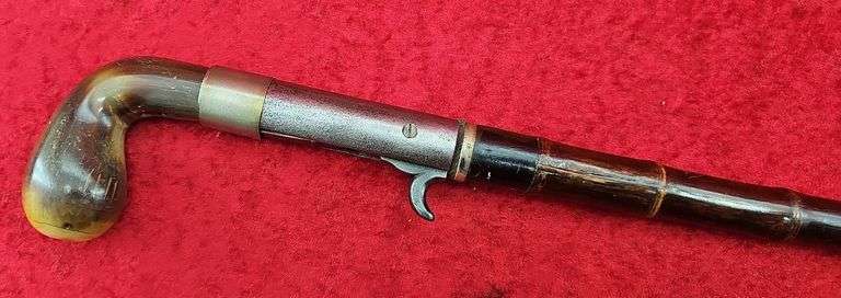 Rare Antique Perc. Cane Gun