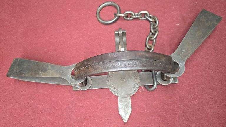 Oneida Newhouse No. 6 Bear Trap