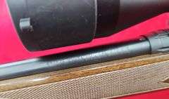 Savage  Model 110   270 cal.   Rifle