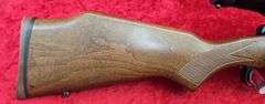 Savage  Model 110   270 cal.   Rifle
