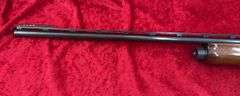 Remington   1100 LT-20  20 ga.    Shotgun