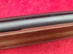 Remington   11-87   12 ga.  Shotgun