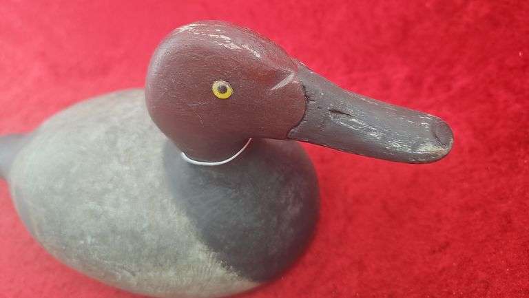 Evans Redhead Decoy