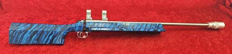 Custom Holeshot  2500X  22LR  Target Rifle