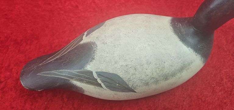 Evans Canvasback Decoy