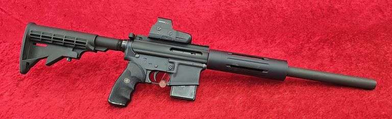 Eagle Arms Armalite  22 cal.   AR Target Rifle
