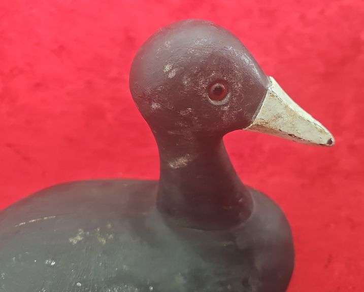 Early Fred Strey Oshkosh,  Coot Decoy