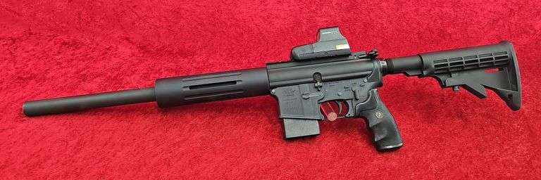 Eagle Arms Armalite  22 cal.   AR Target Rifle