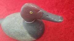 Evans Redhead Decoy