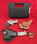 Bond Arms   Defender  45 LC/410 ga.