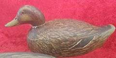 Pair of Julius Worm Mallard Decoys
