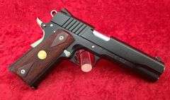 Para Ordnance  Model SSP1911  45ACP  Pistol