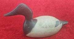 Evans Canvasback Decoy