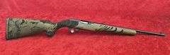 Ruger  10/22 Wild Hog TALO Edition  22 cal.   Rifle