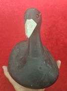 Early Fred Strey Oshkosh,  Coot Decoy
