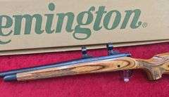 Remington   Model 700  22-250  Rifle