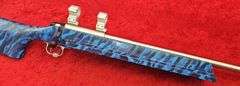 Custom Holeshot  2500X  22LR  Target Rifle