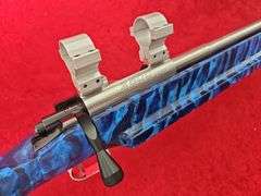 Custom Holeshot  2500X  22LR  Target Rifle
