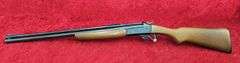 Savage  Model 24  22 Magnum/20 ga.